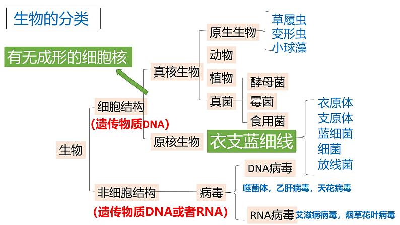 浙科版2019高一生物必修一 2.1细胞是生命的单位 课件08