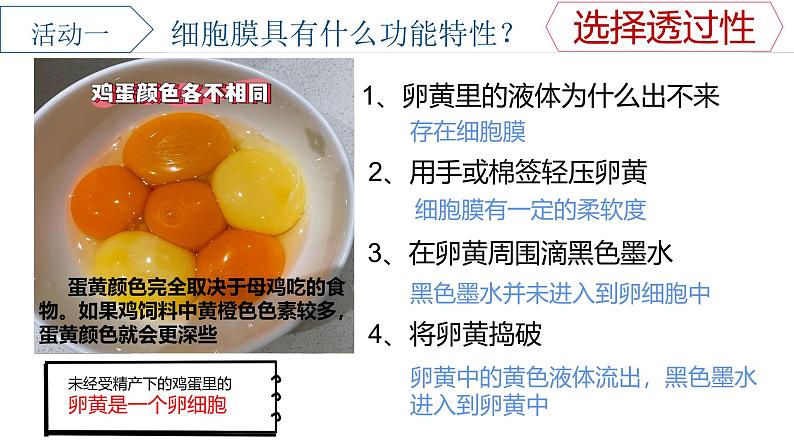 浙科版2019高一生物必修一 2.2细胞膜控制细胞与周围环境的联系 课件03