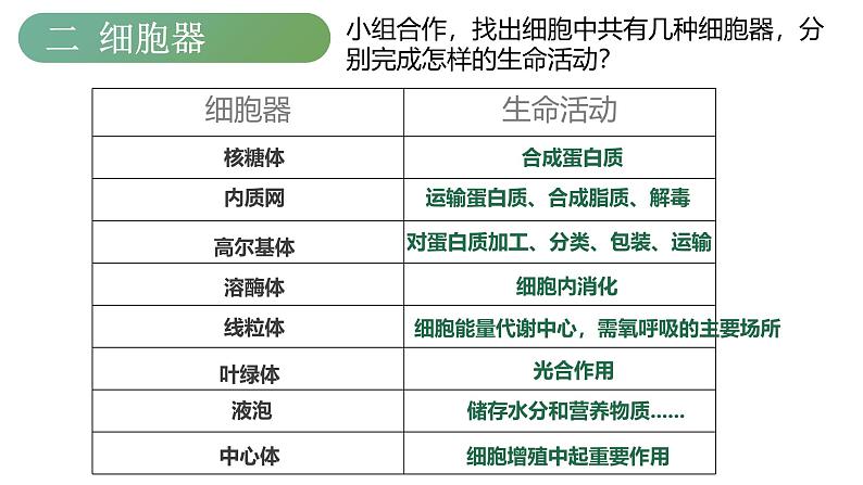 浙科版2019高一生物必修一 2.3细胞质是多项生命活动的场所 课件03