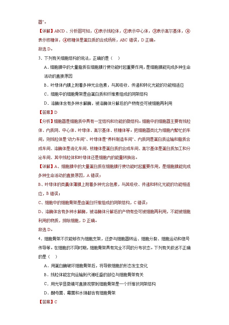 浙科版2019高一生物必修一 2.3细胞质是多项生命活动的场所 分层练习02