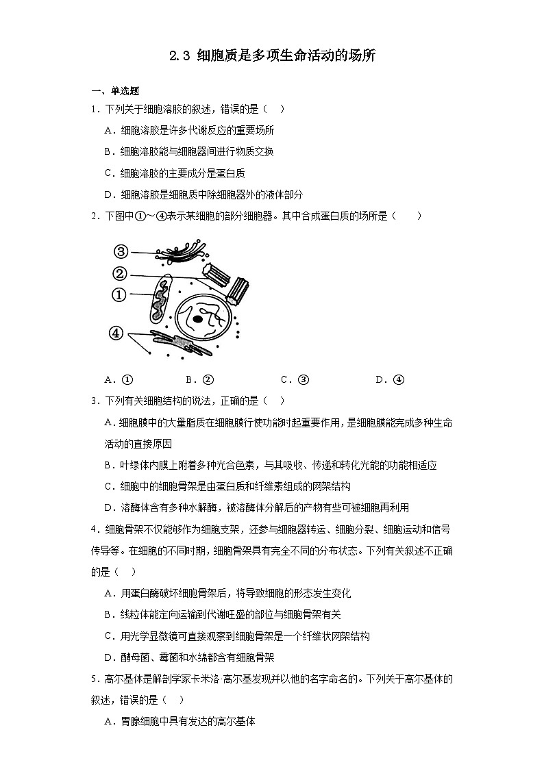 浙科版2019高一生物必修一 2.3细胞质是多项生命活动的场所 分层练习01