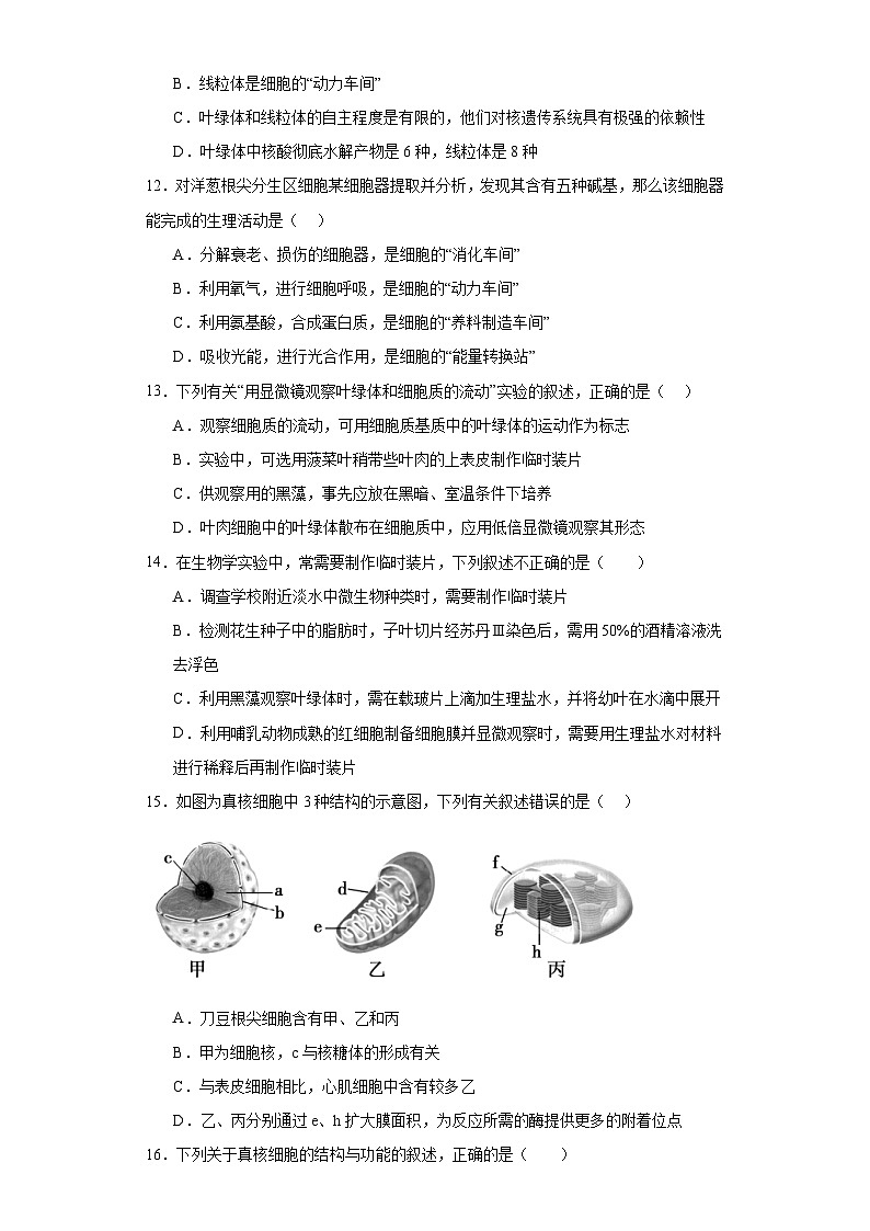 浙科版2019高一生物必修一 2.3细胞质是多项生命活动的场所 分层练习03