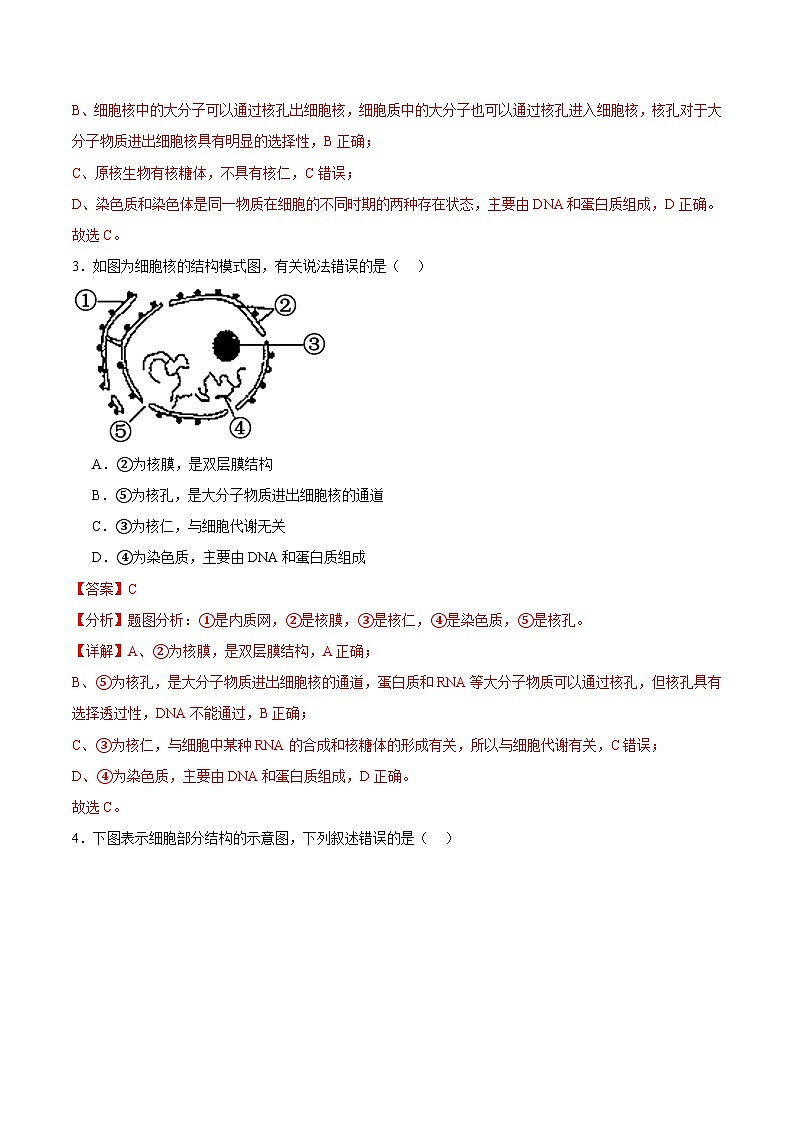 浙科版2019高一生物必修一 2.4细胞核是细胞生命活动的控制中心 分层练习02