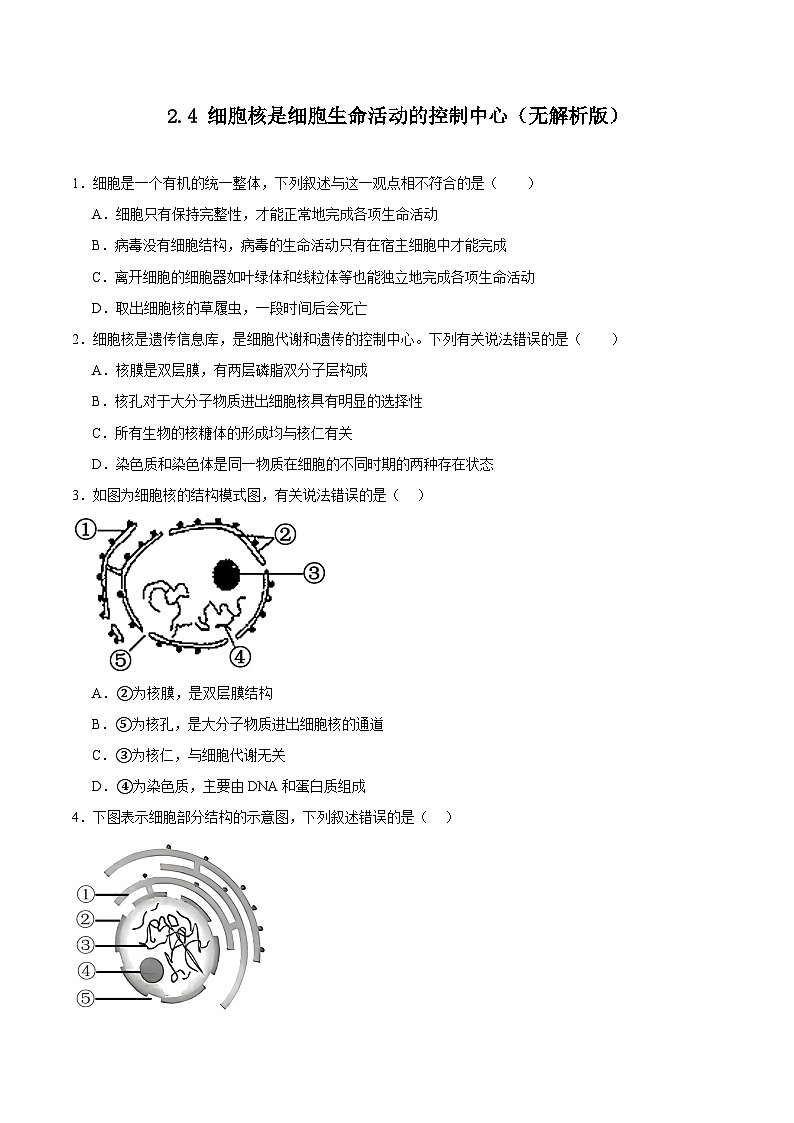 浙科版2019高一生物必修一 2.4细胞核是细胞生命活动的控制中心 分层练习01