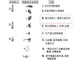 浙科版2019高一生物必修一 2.5细胞在结构和功能上是一个统一整体 课件