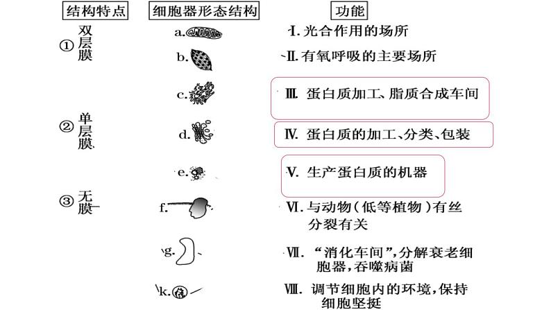 浙科版2019高一生物必修一 2.5细胞在结构和功能上是一个统一整体 课件02