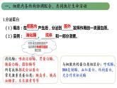 浙科版2019高一生物必修一 2.5细胞在结构和功能上是一个统一整体 课件