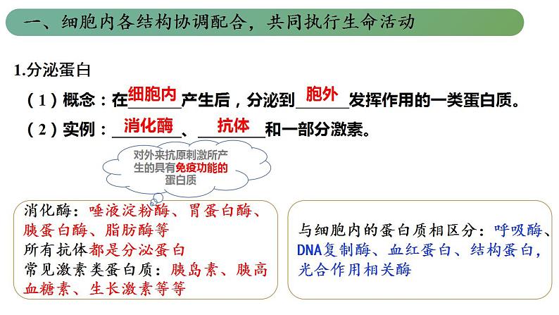 浙科版2019高一生物必修一 2.5细胞在结构和功能上是一个统一整体 课件03