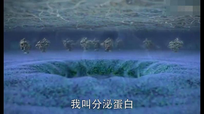 浙科版2019高一生物必修一 2.5细胞在结构和功能上是一个统一整体 课件05