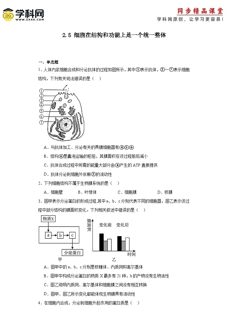 浙科版2019高一生物必修一 2.5细胞在结构和功能上是一个统一整体 分层练习01