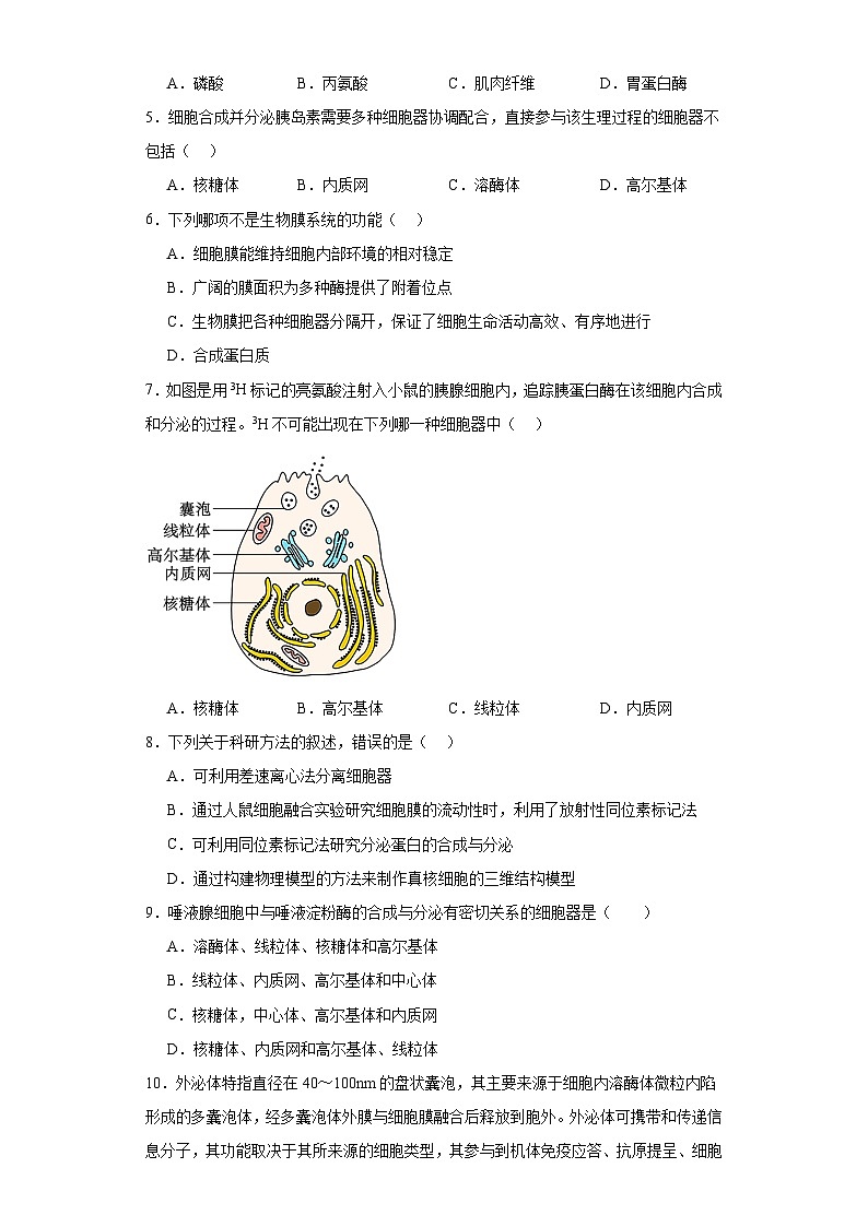 浙科版2019高一生物必修一 2.5细胞在结构和功能上是一个统一整体 分层练习02