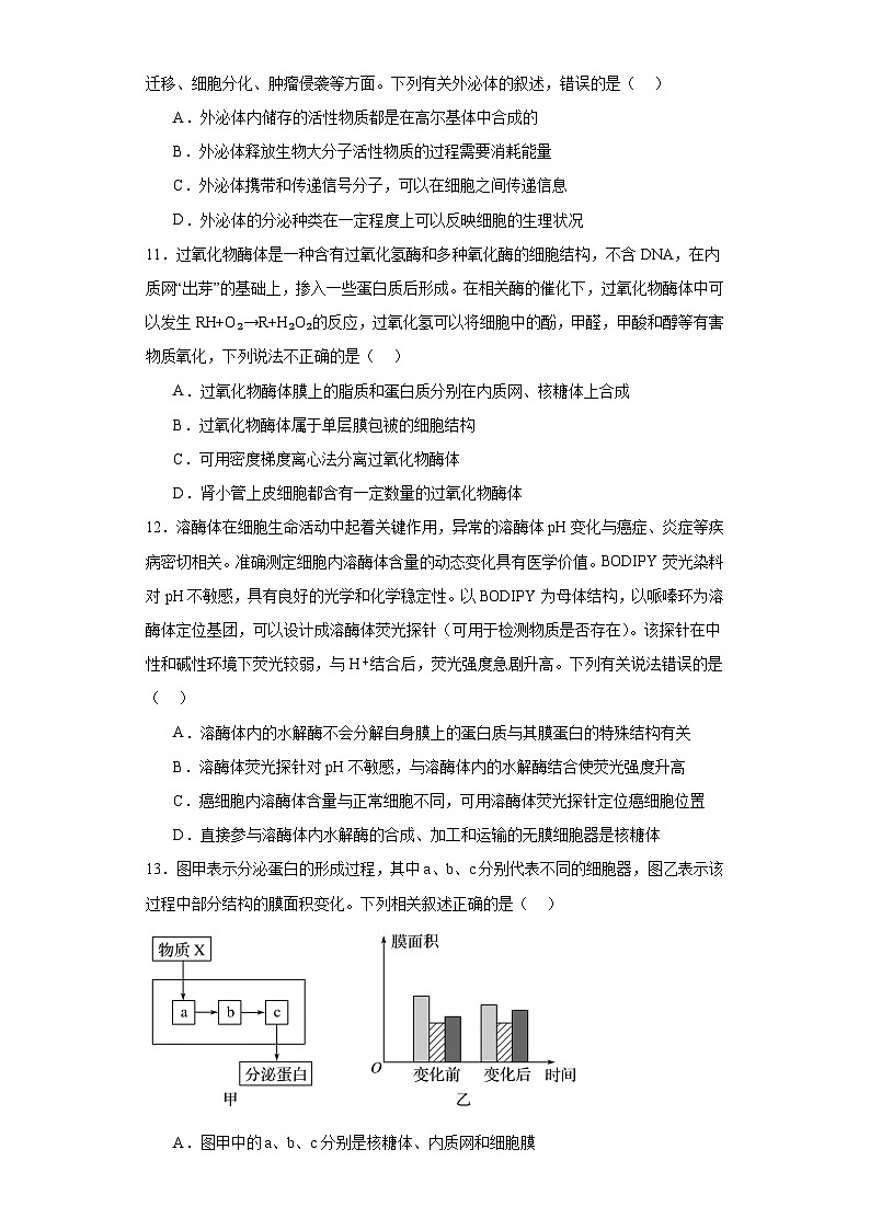 浙科版2019高一生物必修一 2.5细胞在结构和功能上是一个统一整体 分层练习03