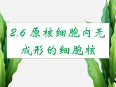 浙科版2019高一生物必修一 2.6原核细胞 课件