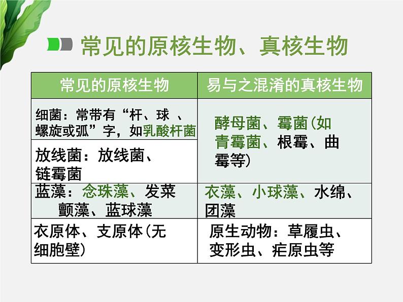 浙科版2019高一生物必修一 2.6原核细胞 课件07