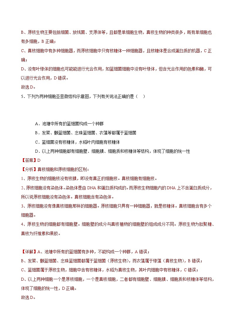 浙科版2019高一生物必修一 2.6原核细胞内无成形的细胞核 分层练习03
