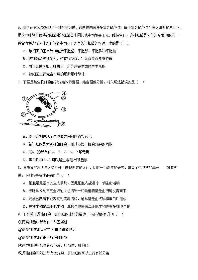 浙科版2019高一生物必修一 2.6原核细胞内无成形的细胞核 分层练习02