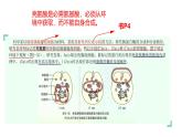 浙科版2019高一生物必修一 第二章细胞的结构 章末复习课件