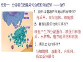 浙科版2019高一生物必修一 第二章细胞的结构 章末复习课件