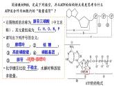 浙科版2019高一生物必修一 3.1ATP是細(xì)胞內(nèi)的“能量通貨” 課件