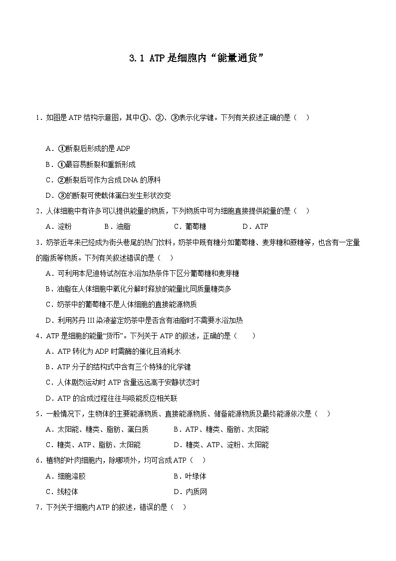 浙科版2019高一生物必修一 3.1ATP是细胞内的“能量通货” 分层练习01