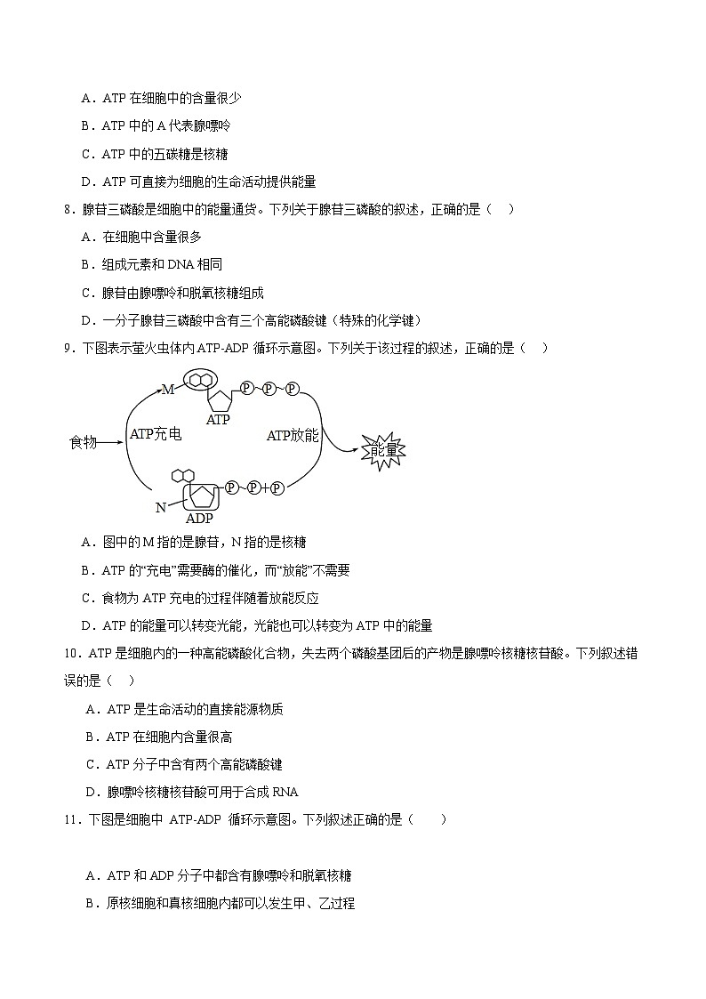 浙科版2019高一生物必修一 3.1ATP是细胞内的“能量通货” 分层练习02