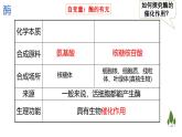 浙科版2019高一生物必修一 3.2酶是生物催化剂 课件