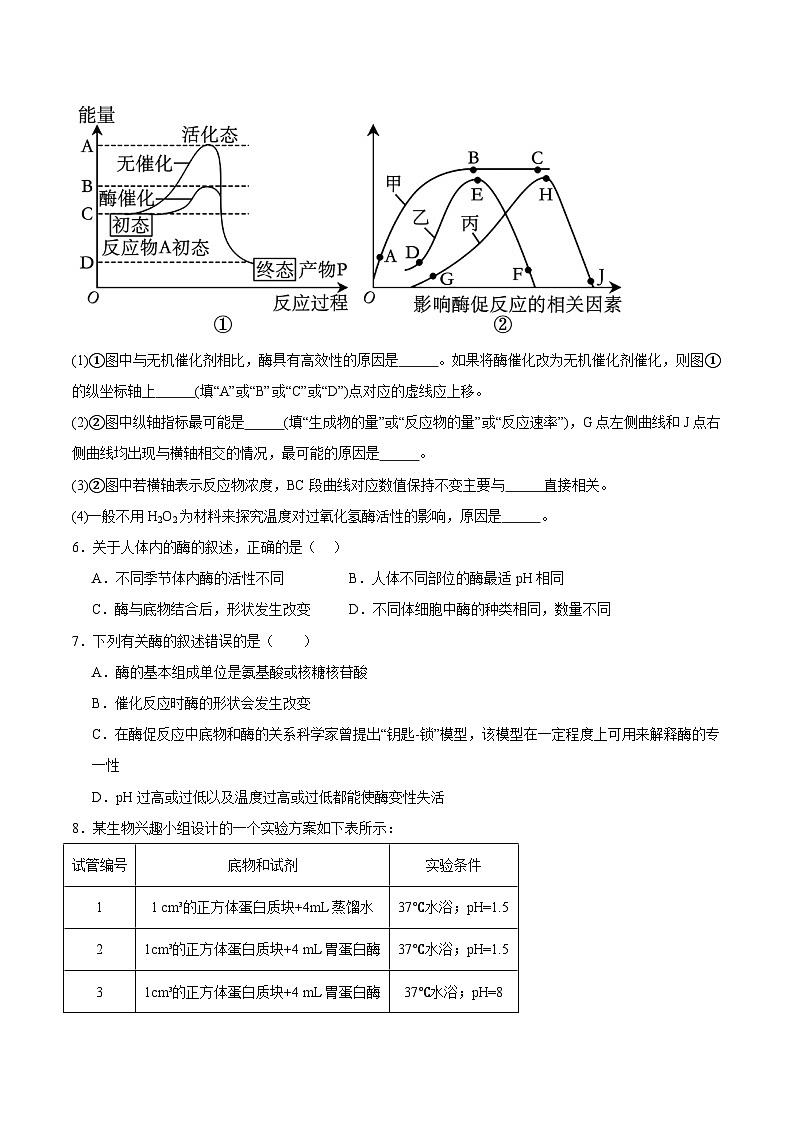 浙科版2019高一生物必修一 3.2 酶是生物催化剂（原卷版）第2页