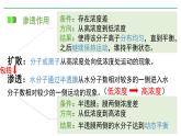 浙科版2019高一生物必修一 3.3物质通过多种方式出入细胞 课件