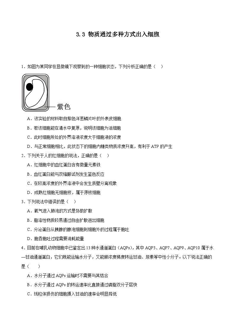 浙科版2019高一生物必修一 3.3物质通过多种方式出入细胞 分层练习01