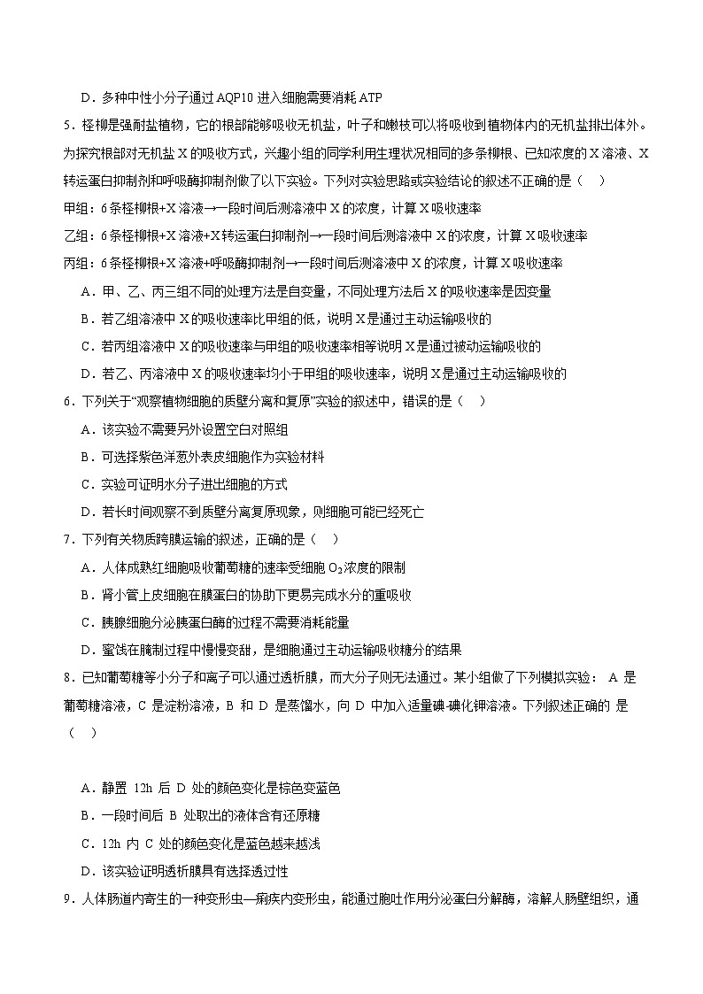 浙科版2019高一生物必修一 3.3物质通过多种方式出入细胞 分层练习02