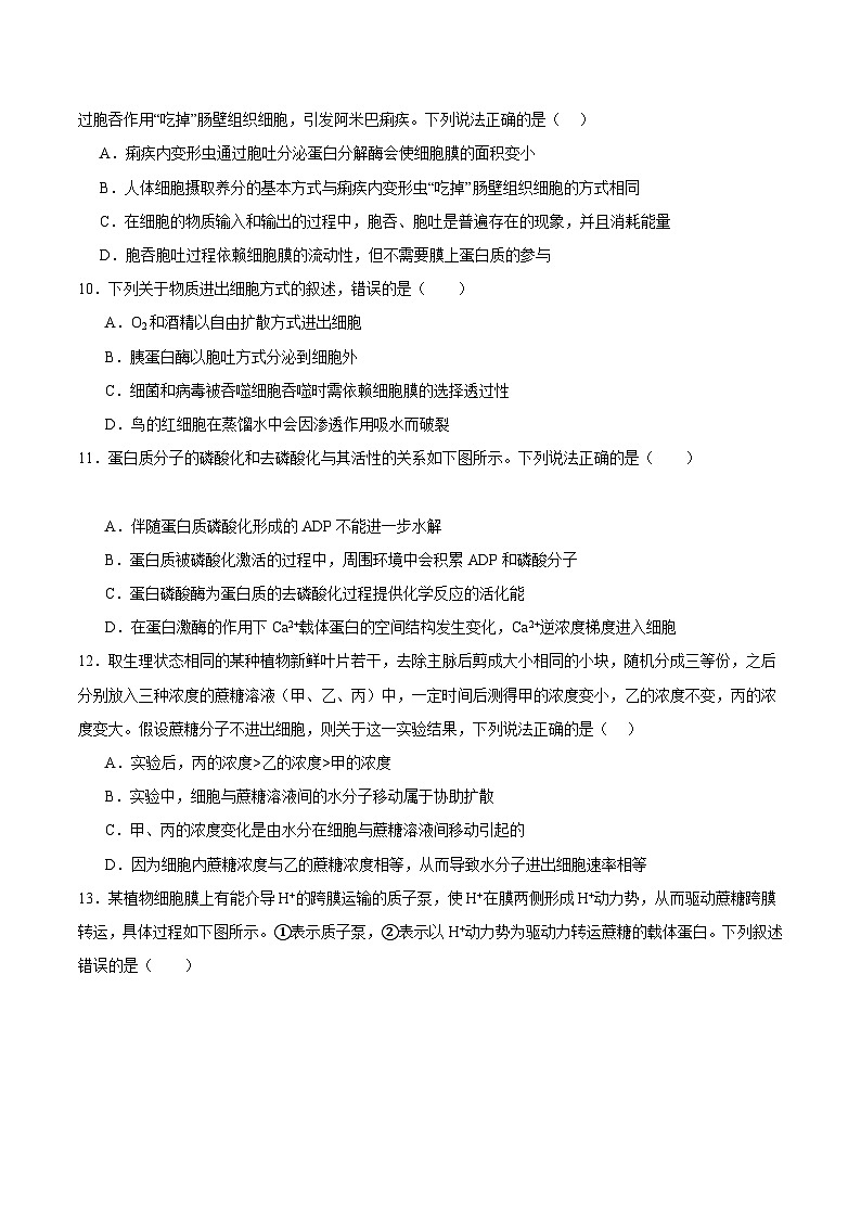 浙科版2019高一生物必修一 3.3物质通过多种方式出入细胞 分层练习03