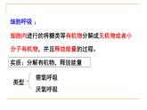 浙科版2019高一生物必修一 3.4细胞呼吸 课件