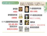 浙科版2019高一生物必修一 3.4细胞呼吸 课件