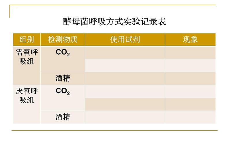 浙科版2019高一生物必修一 3.4细胞呼吸 课件06