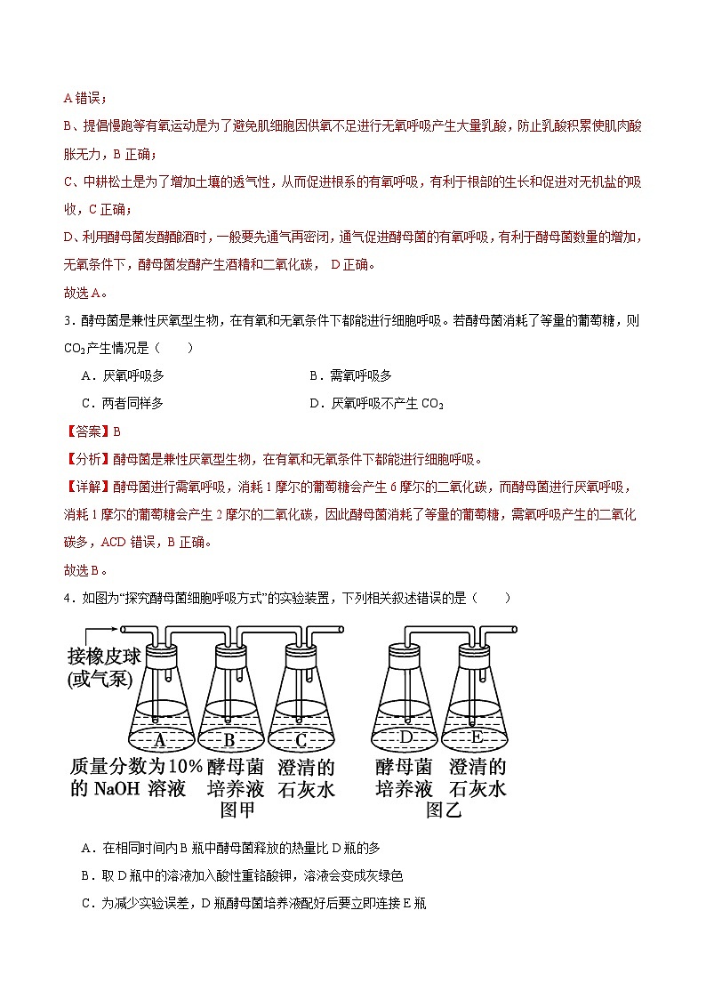 浙科版2019高一生物必修一 3.4细胞呼吸为细胞生活提供能量 分层练习02