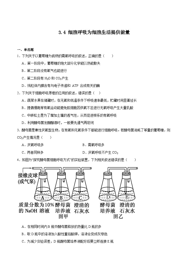 浙科版2019高一生物必修一 3.4细胞呼吸为细胞生活提供能量 分层练习01