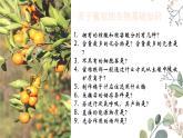 浙科版2019高一生物必修一 3.5光合作用将光能转化为化学能 课件