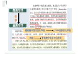 浙科版2019高一生物必修一 3.5光合作用将光能转化为化学能 课件