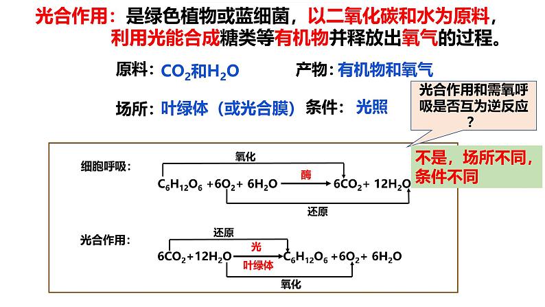 浙科版2019高一生物必修一 3.5光合作用将光能转化为化学能 课件04