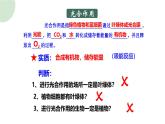 浙科版2019高一生物必修一 3.5光合作用将光能转化为化学能 课件