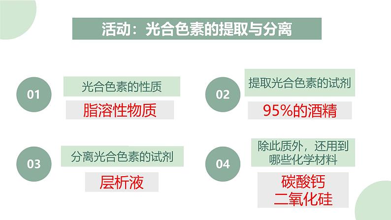 浙科版2019高一生物必修一 3.5光合作用将光能转化为化学能 课件08