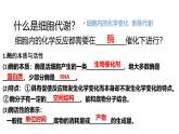浙科版2019高一生物必修一 第三章细胞的代谢 章末复习课件