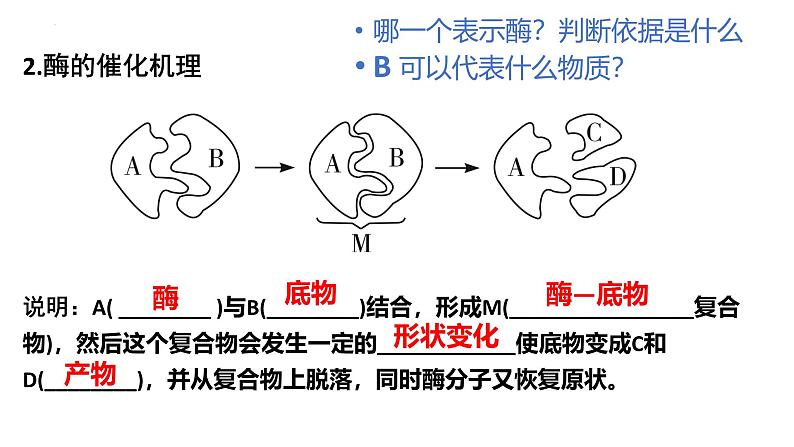 浙科版2019高一生物必修一 第三章细胞的代谢 章末复习课件04