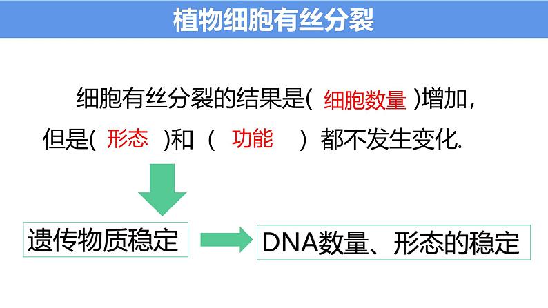 浙科版2019高一生物必修一 4.1细胞通过分裂增殖 课件02