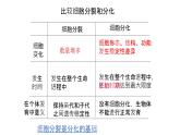 浙科版2019高一生物必修一 4.2細(xì)胞通過分化產(chǎn)生不同類型的細(xì)胞 課件