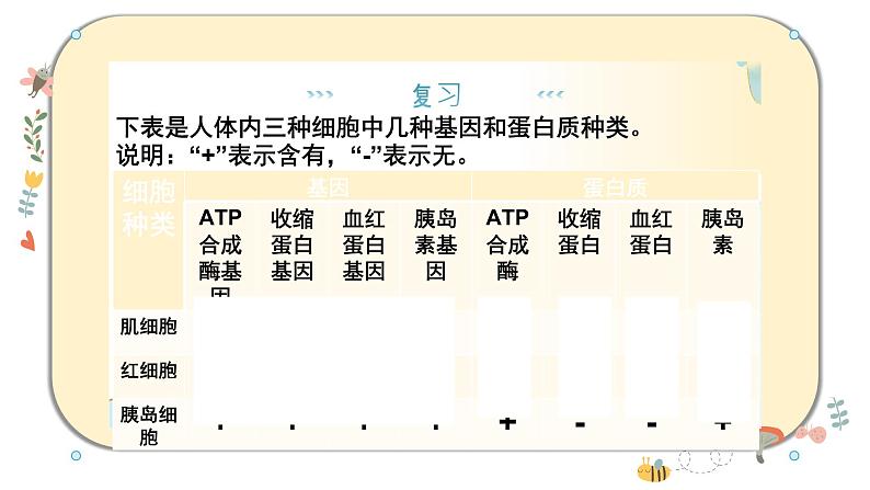 浙科版2019高一生物必修一 4.3细胞凋亡是编程性死亡 课件03