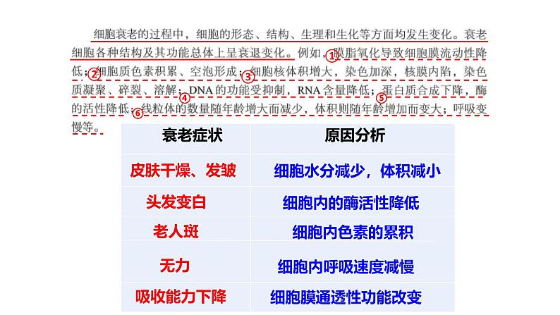 浙科版2019高一生物必修一 4.3细胞凋亡是编程性死亡 课件07