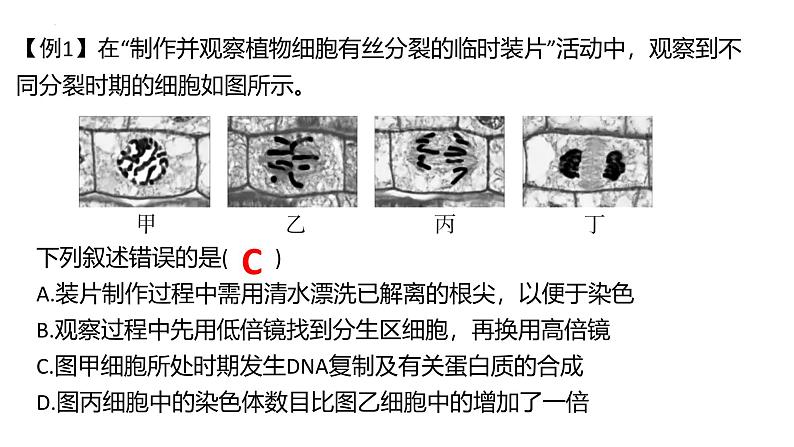 浙科版2019高一生物必修一 第四章细胞的生命历程 章末复习课件05