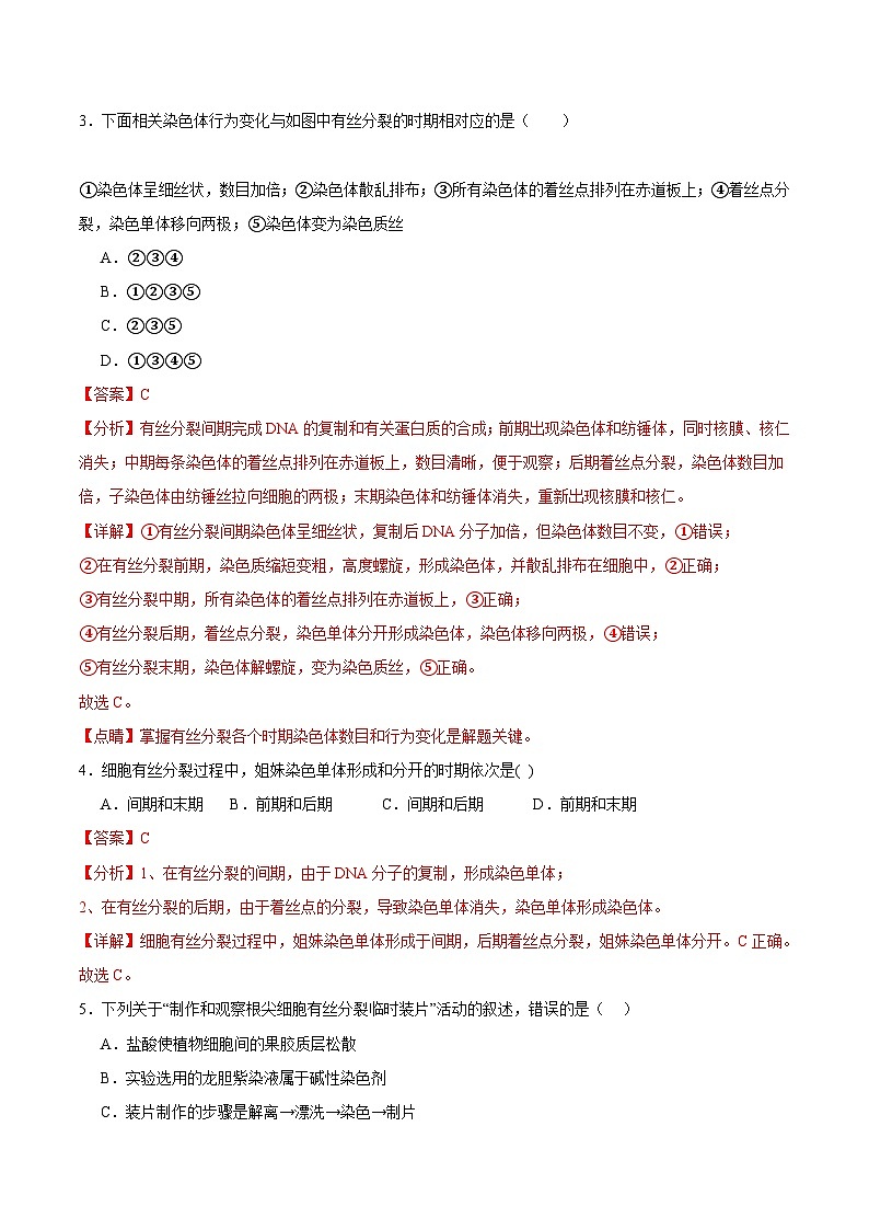 浙科版2019高一生物必修一 第四章细胞的生命历程 单元测试02