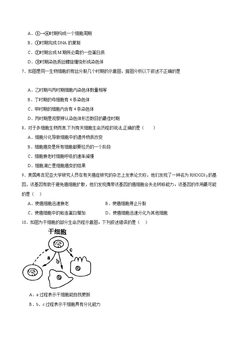 浙科版2019高一生物必修一 第四章细胞的生命历程 单元测试02